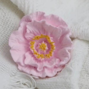 Air Freshener Diffuser Ceramic