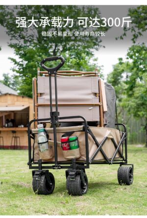 img_8878 Portable Folding Kids Wagon