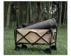 img_8881 Portable Folding Kids Wagon