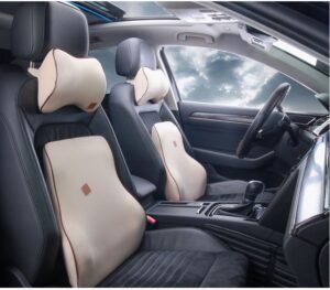 carseat pillow
cushion